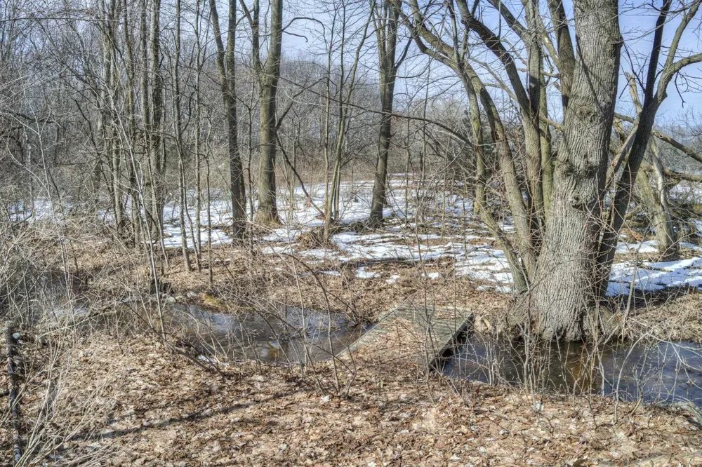 4793 E Duck Lake Road Green Lake Township, MI 49637