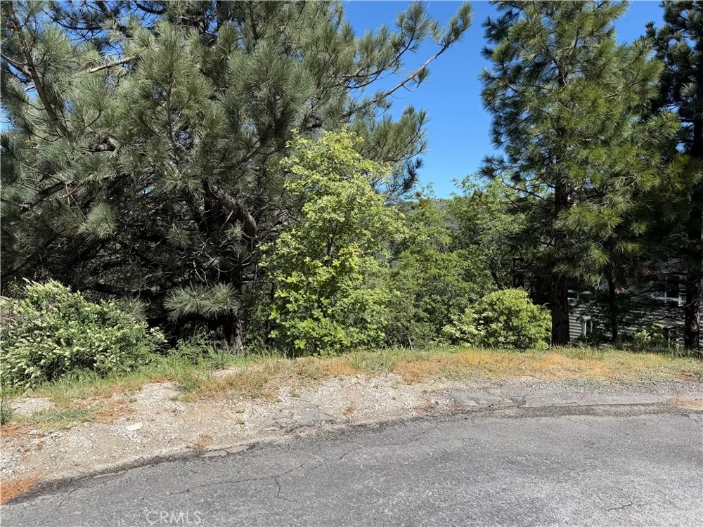 30029 Enchanted Running Springs, CA 92382