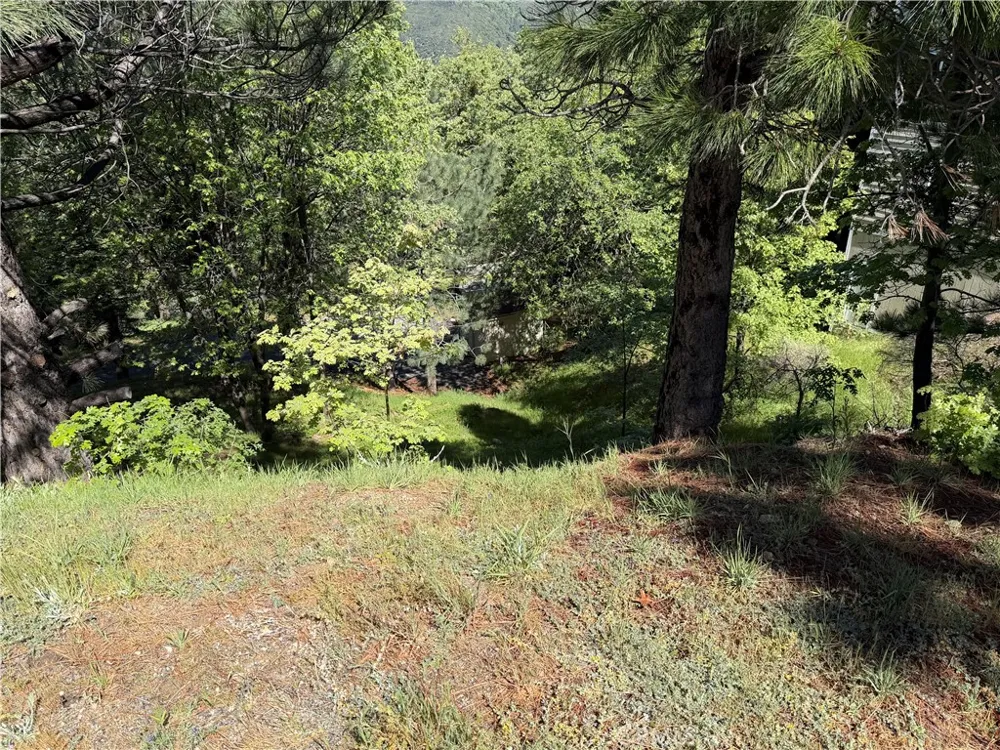30029 Enchanted Running Springs, CA 92382
