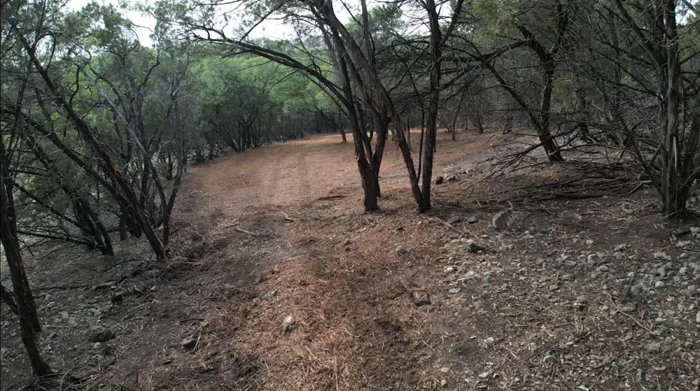 1600 Moerike Road Canyon Lake, TX 78133
