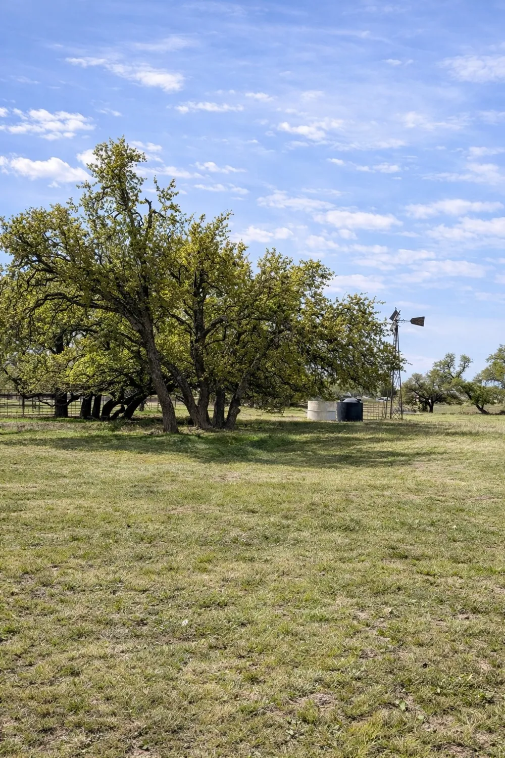 42 Reeh Road Fredericksburg, TX 78631