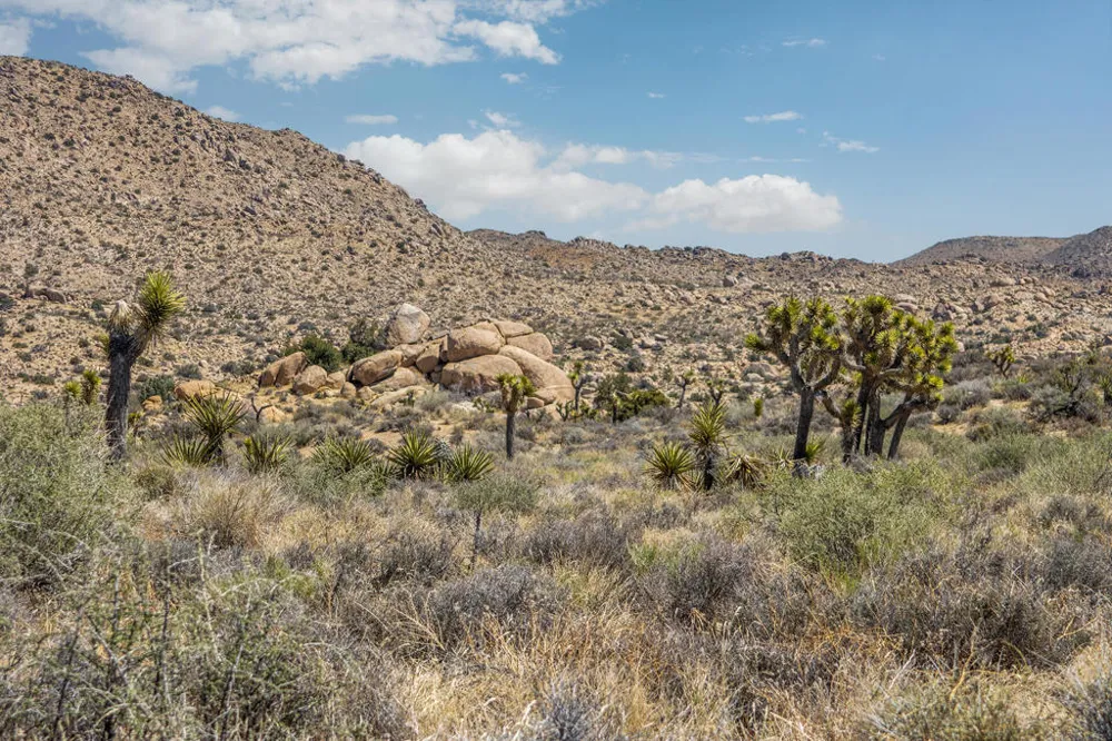 101 Hondo Street Pioneertown, CA 92268