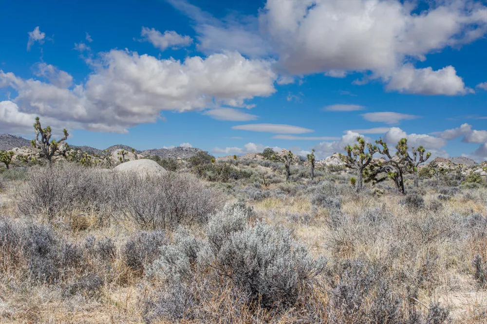 101 Hondo Street Pioneertown, CA 92268