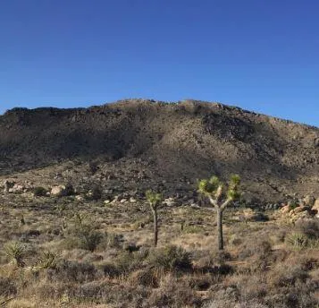101 Hondo Street Pioneertown, CA 92268