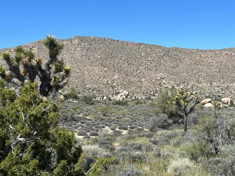 101 Hondo Street Pioneertown, CA 92268