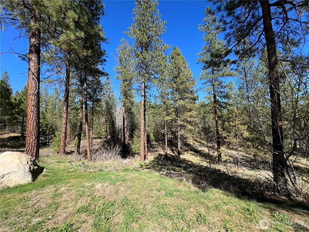 1069 B Kitt Narcisse Road Colville, WA 99114