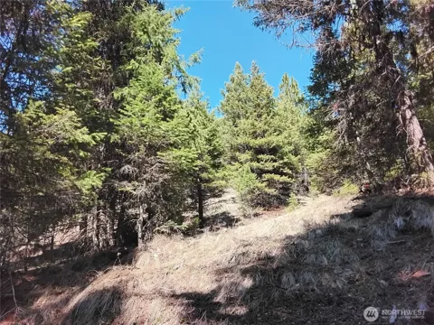 44 Trapline Loop Road