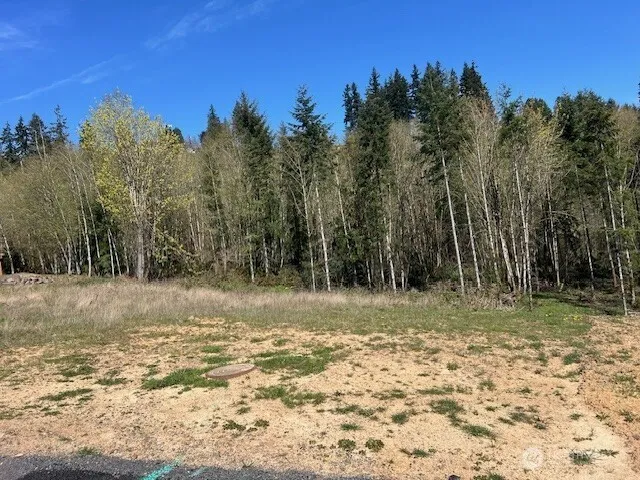 260 Livingston Heights Drive Longview, WA 98632