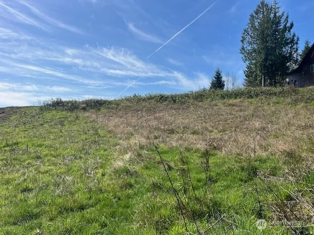 260 Livingston Heights Drive Longview, WA 98632
