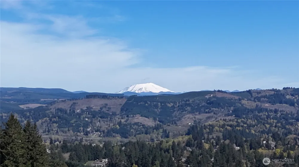 260 Livingston Heights Drive Longview, WA 98632