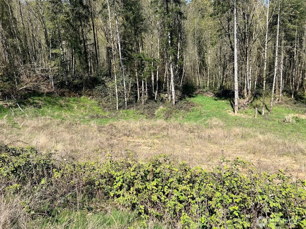260 Livingston Heights Drive Longview, WA 98632