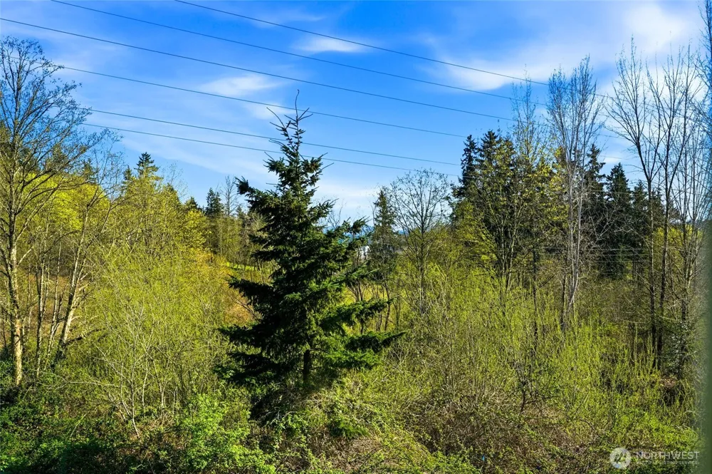 10175 156th Court NE #105 Redmond, WA 98052
