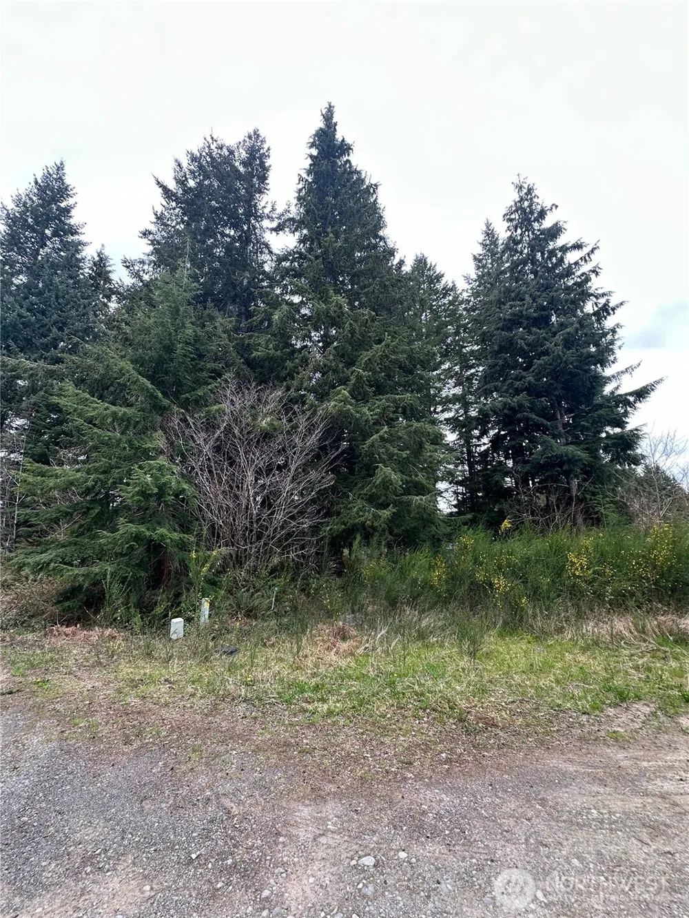746 Trillium Avenue Forks, WA 98331