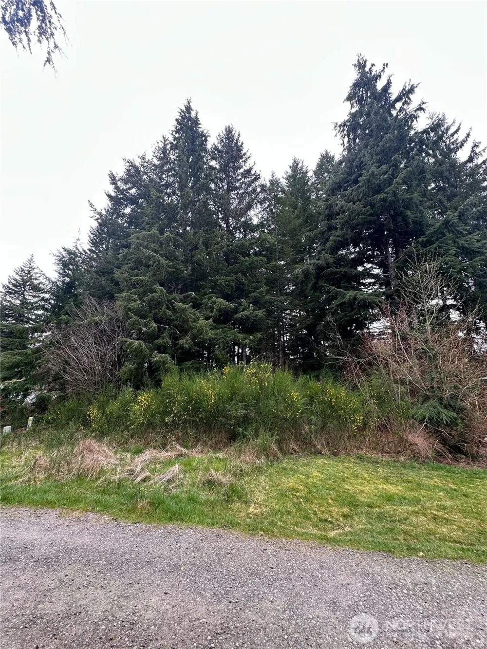 746 Trillium Avenue Forks, WA 98331