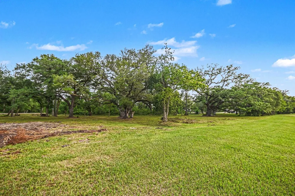 375 Thousand Oaks Drive Angleton, TX 77515