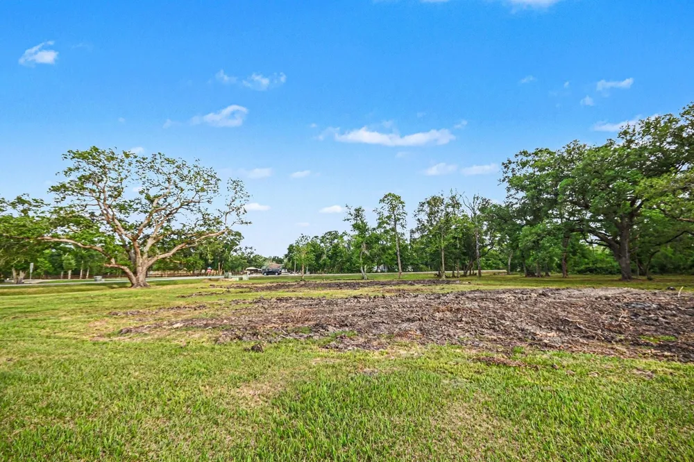 375 Thousand Oaks Drive Angleton, TX 77515