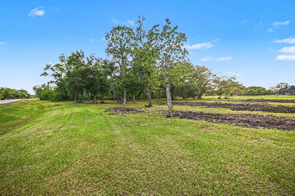 375 Thousand Oaks Drive Angleton, TX 77515