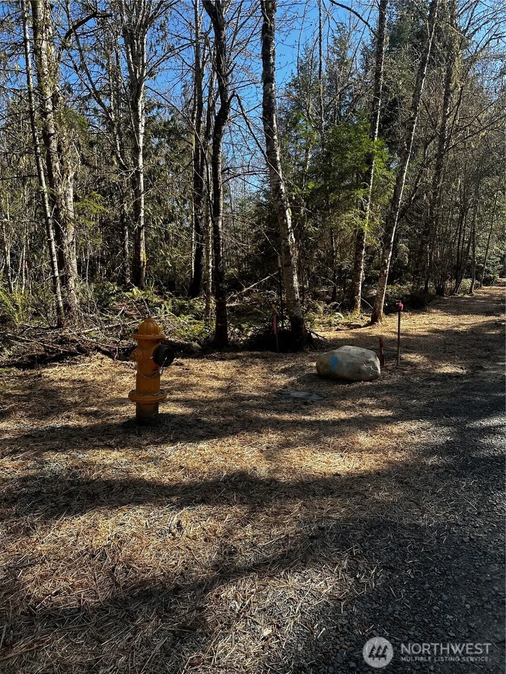 9999 Lot 1 Robinson Road Port Angeles, WA 98362