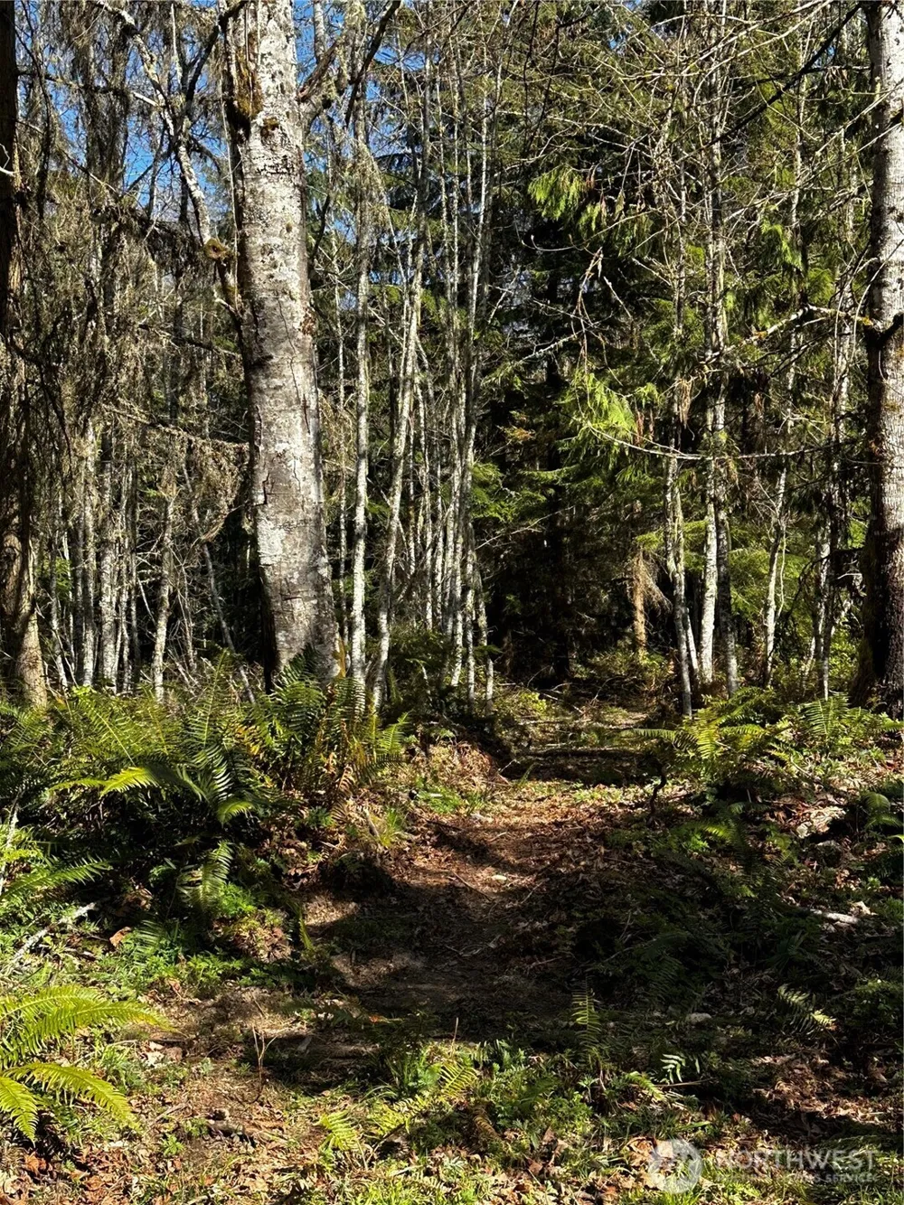 9999 Lot 1 Robinson Road Port Angeles, WA 98362