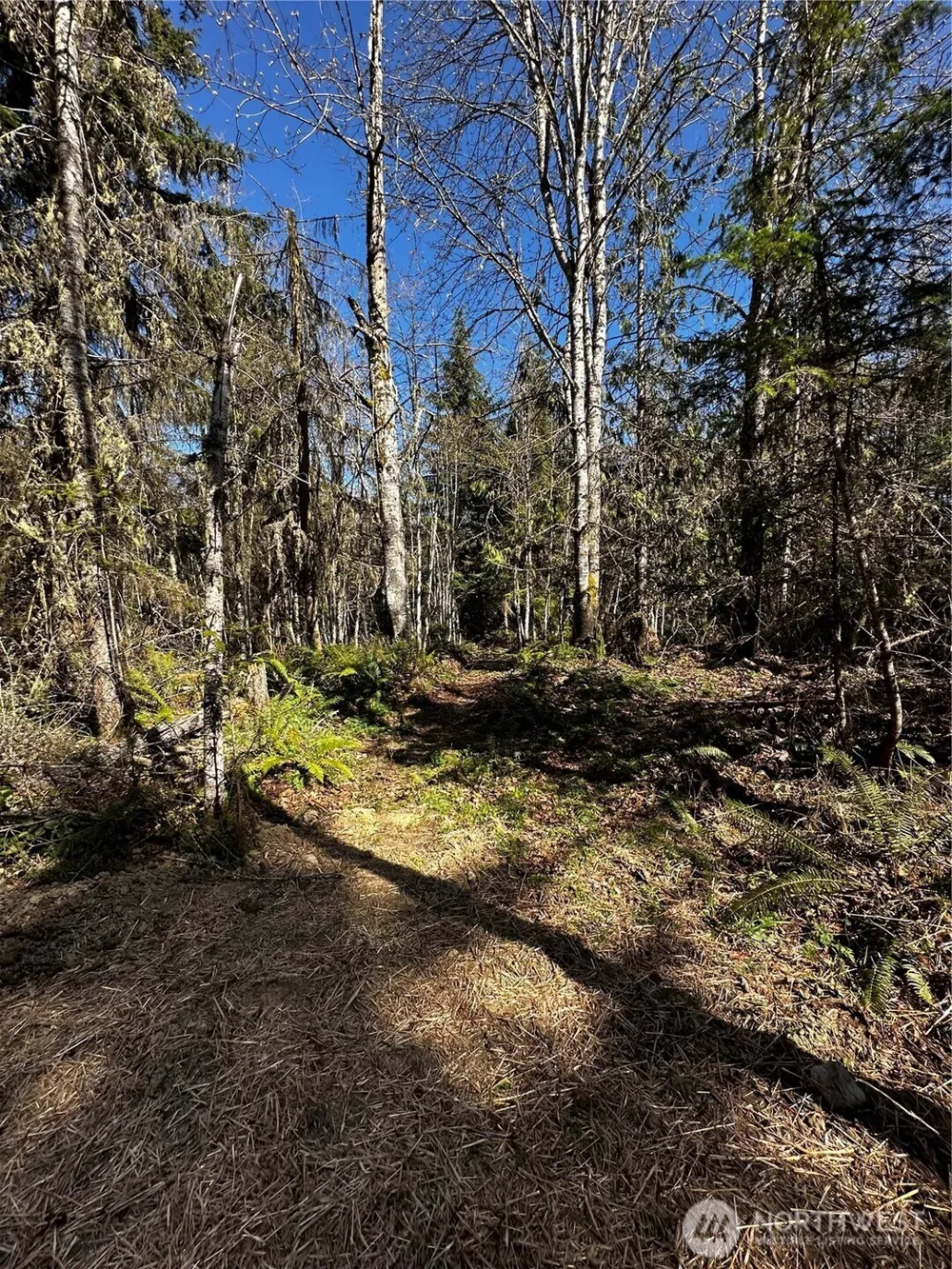 9999 Lot 1 Robinson Road Port Angeles, WA 98362