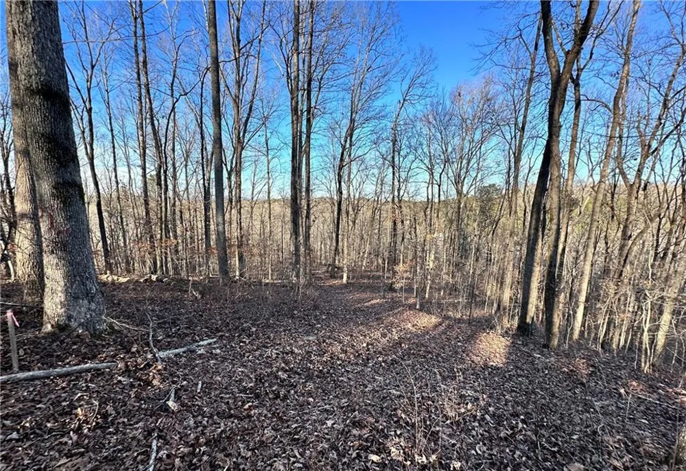 8555 Woodland Brooke Trail Cumming, GA 30028