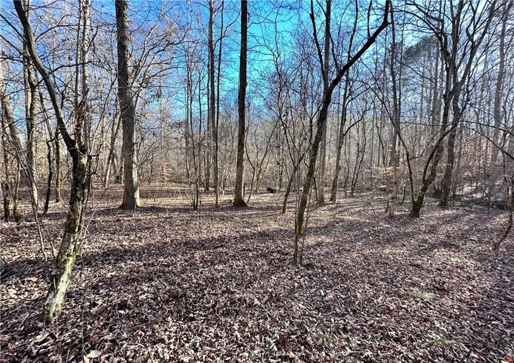 8555 Woodland Brooke Trail Cumming, GA 30028
