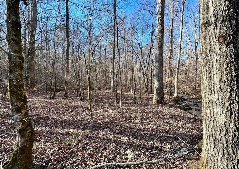 8555 Woodland Brooke Trail Cumming, GA 30028