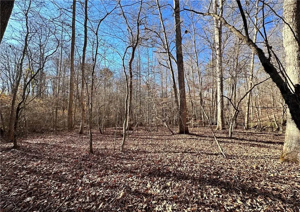 8555 Woodland Brooke Trail Cumming, GA 30028