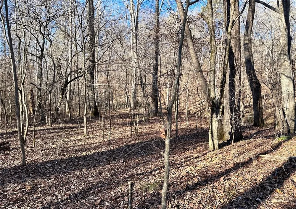 8555 Woodland Brooke Trail Cumming, GA 30028