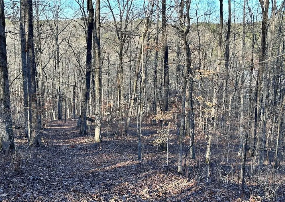 8555 Woodland Brooke Trail Cumming, GA 30028