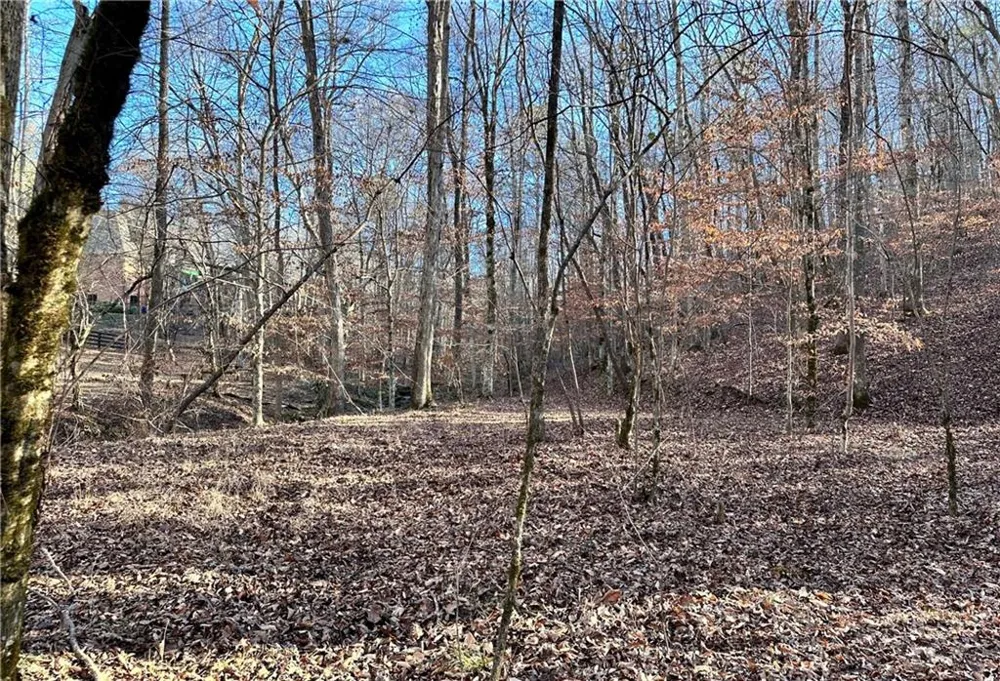 8555 Woodland Brooke Trail Cumming, GA 30028