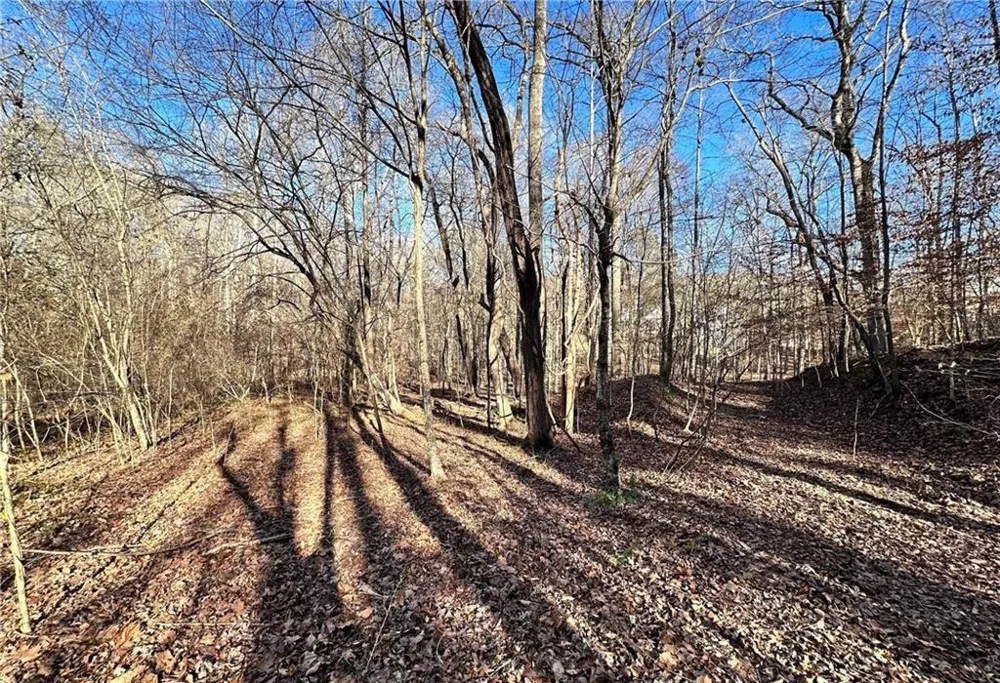 8555 Woodland Brooke Trail Cumming, GA 30028