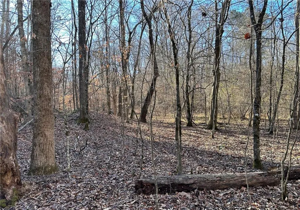 8555 Woodland Brooke Trail Cumming, GA 30028