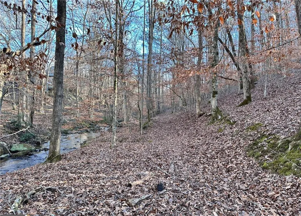 8555 Woodland Brooke Trail Cumming, GA 30028