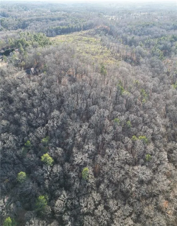 8555 Woodland Brooke Trail Cumming, GA 30028