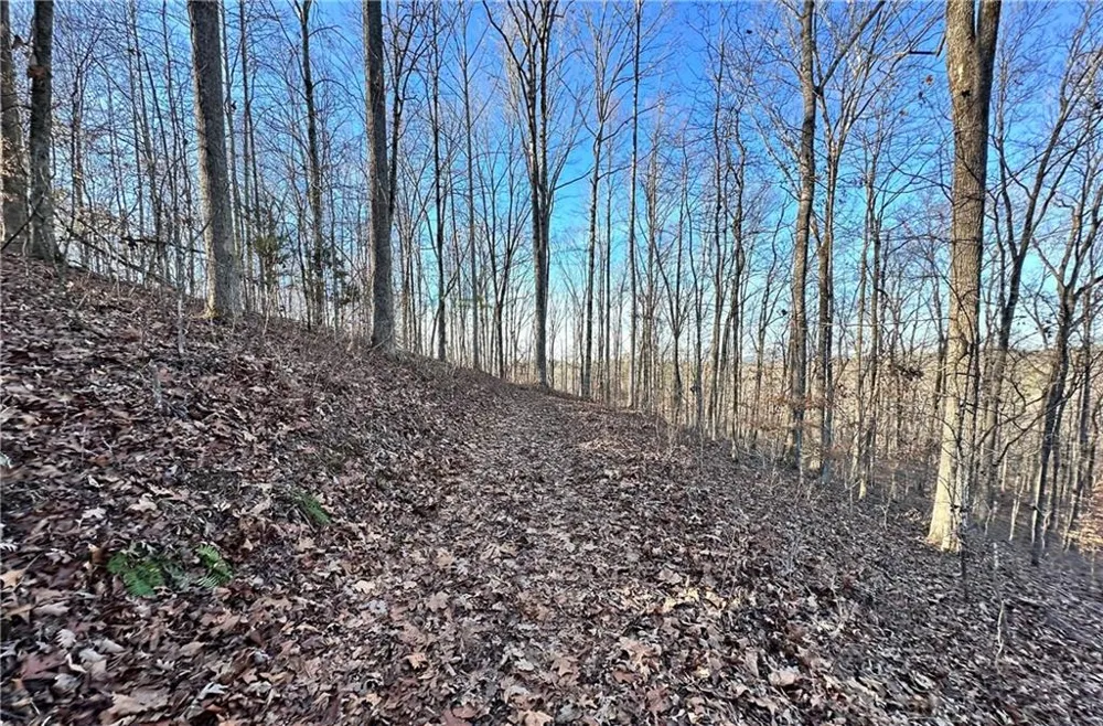 8555 Woodland Brooke Trail Cumming, GA 30028