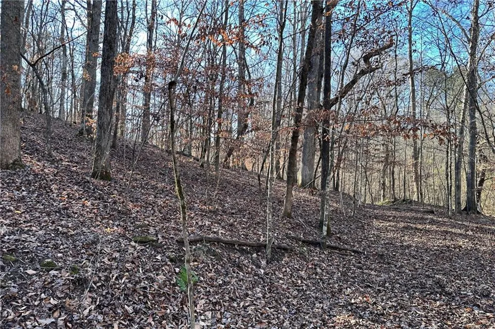 8555 Woodland Brooke Trail Cumming, GA 30028