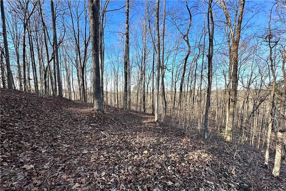 8555 Woodland Brooke Trail Cumming, GA 30028