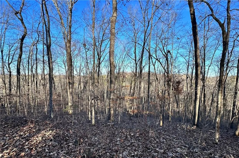 8555 Woodland Brooke Trail Cumming, GA 30028