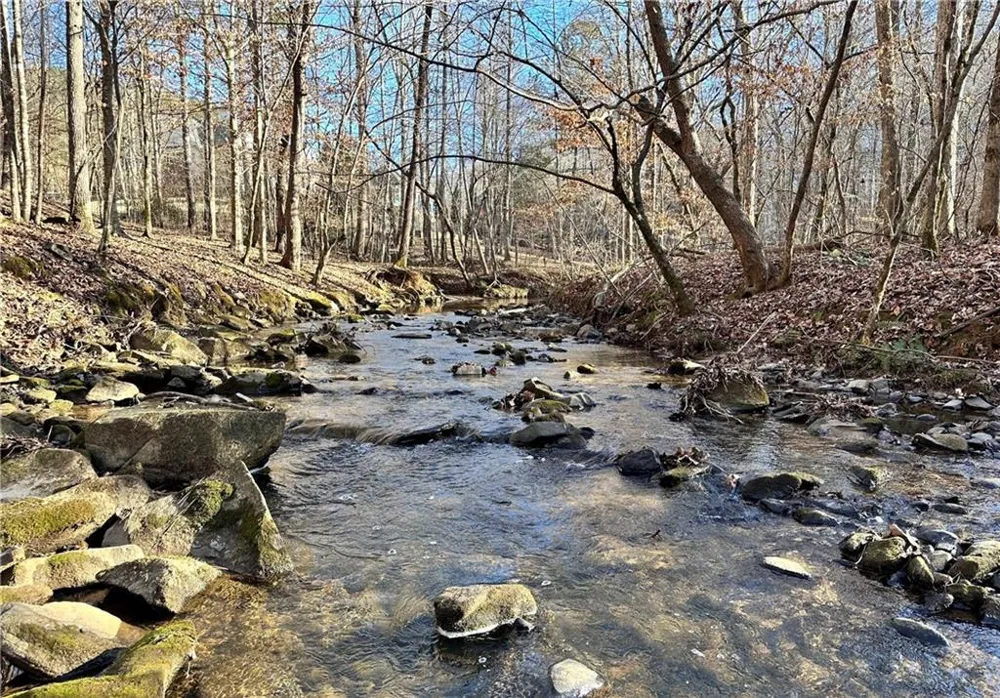 8555 Woodland Brooke Trail Cumming, GA 30028