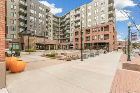 20 Wilcox Street #519
