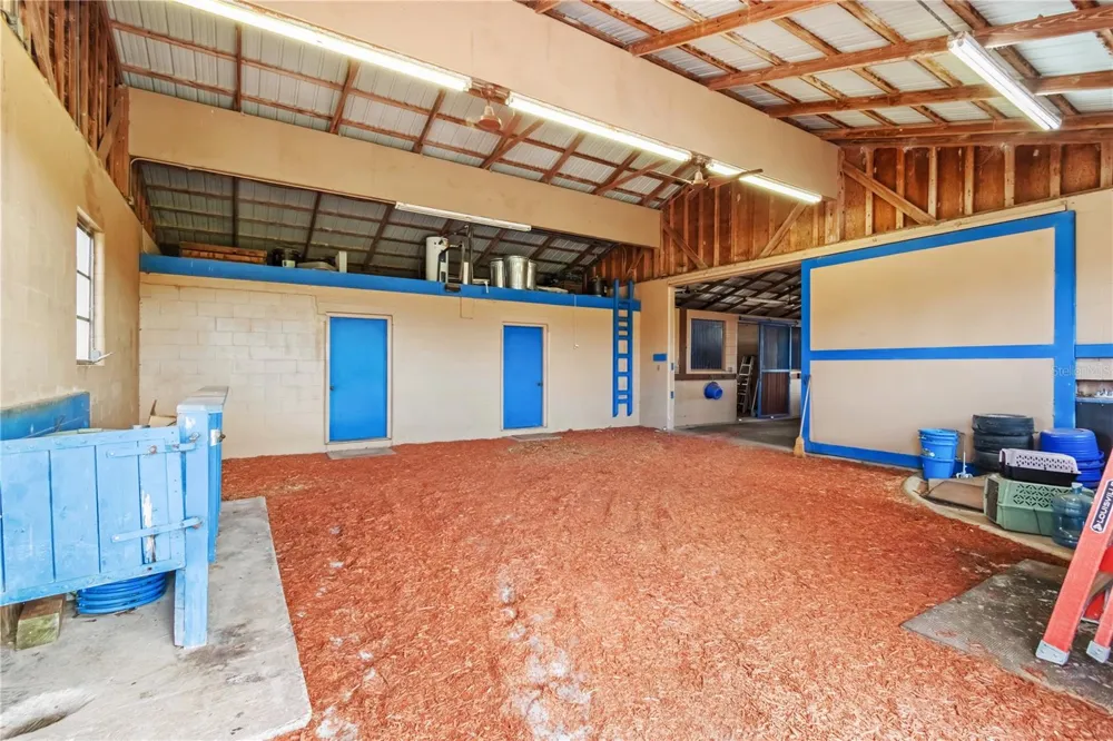 5100 W HWY 329 Reddick, FL 32686
