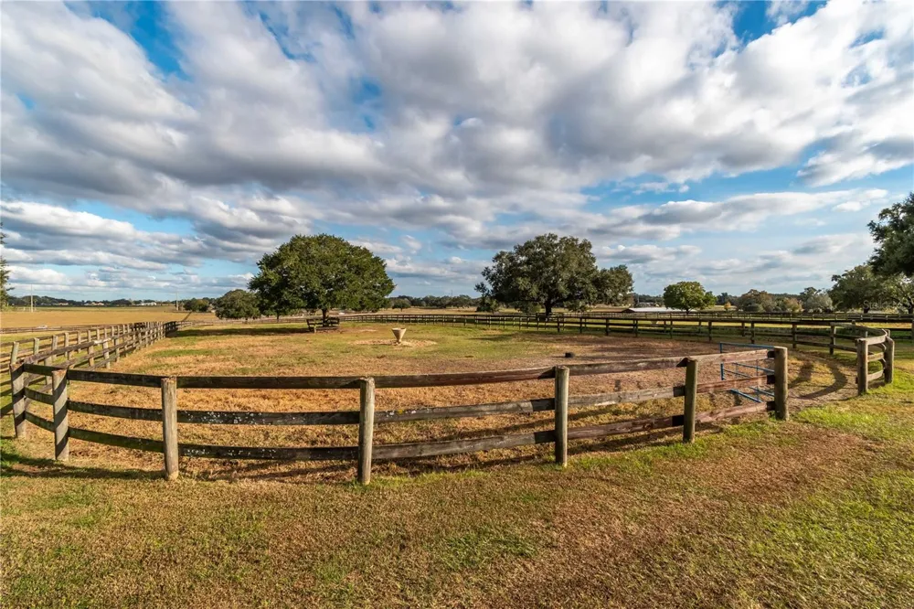 5100 W HWY 329 Reddick, FL 32686