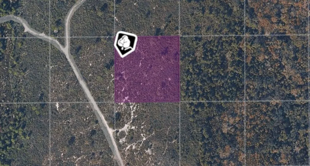TBD COUNTY ROAD Oak Hill, FL 32759