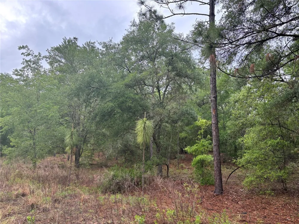 0000 SW 19TH PLACE ocala, FL 34481
