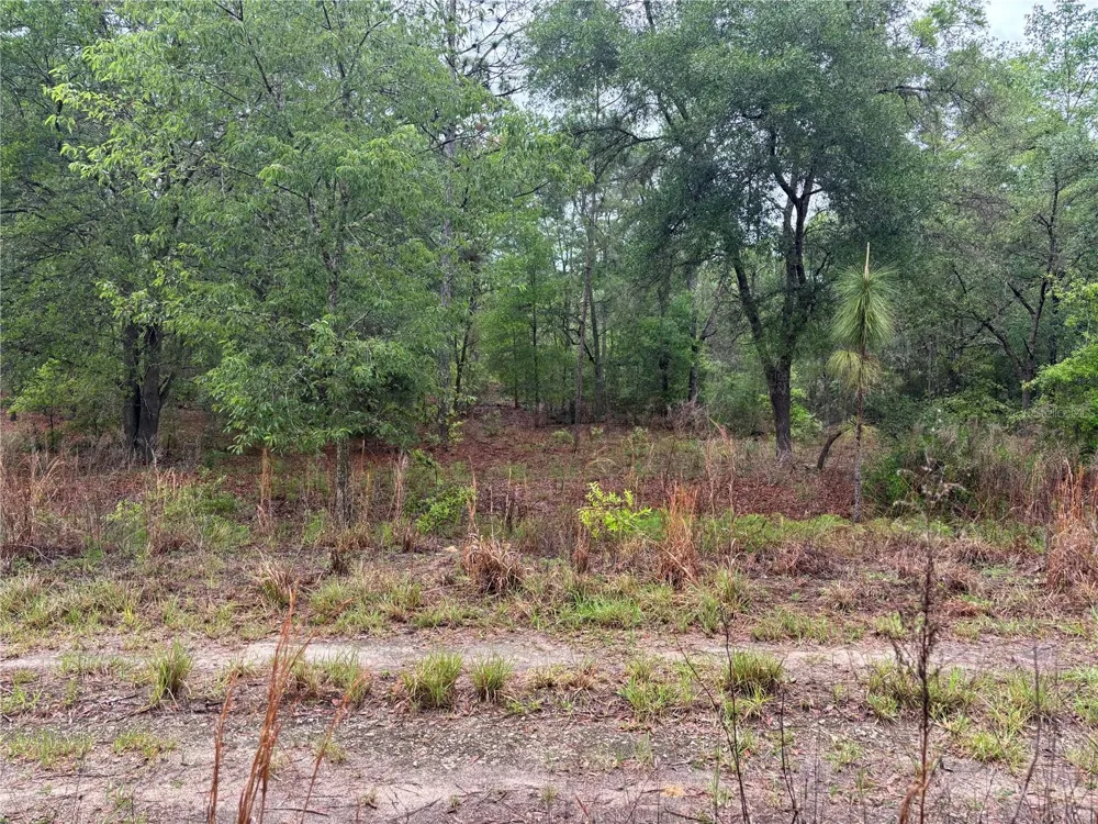 0000 SW 19TH PLACE ocala, FL 34481
