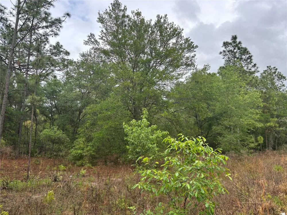 0000 SW 19TH PLACE ocala, FL 34481