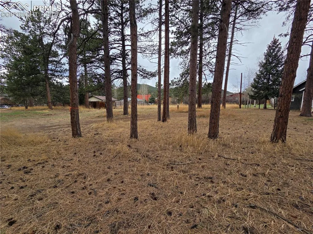 224 S Fairview Street Woodland Park, CO 80863