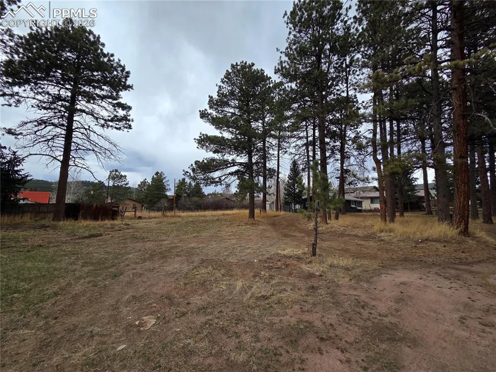 224 S Fairview Street Woodland Park, CO 80863