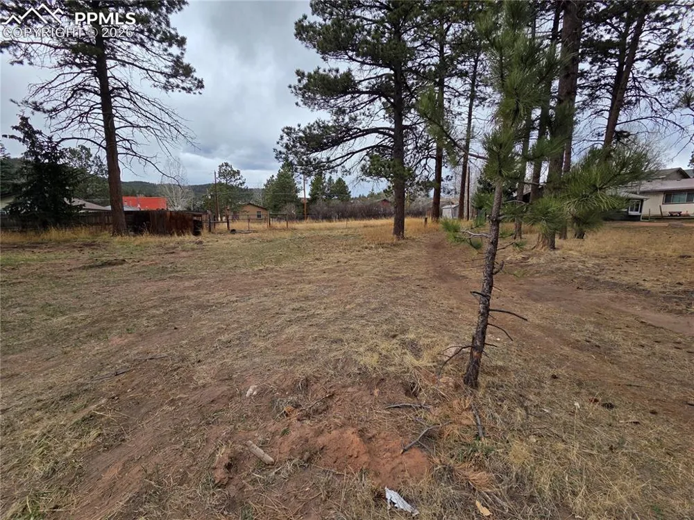 224 S Fairview Street Woodland Park, CO 80863